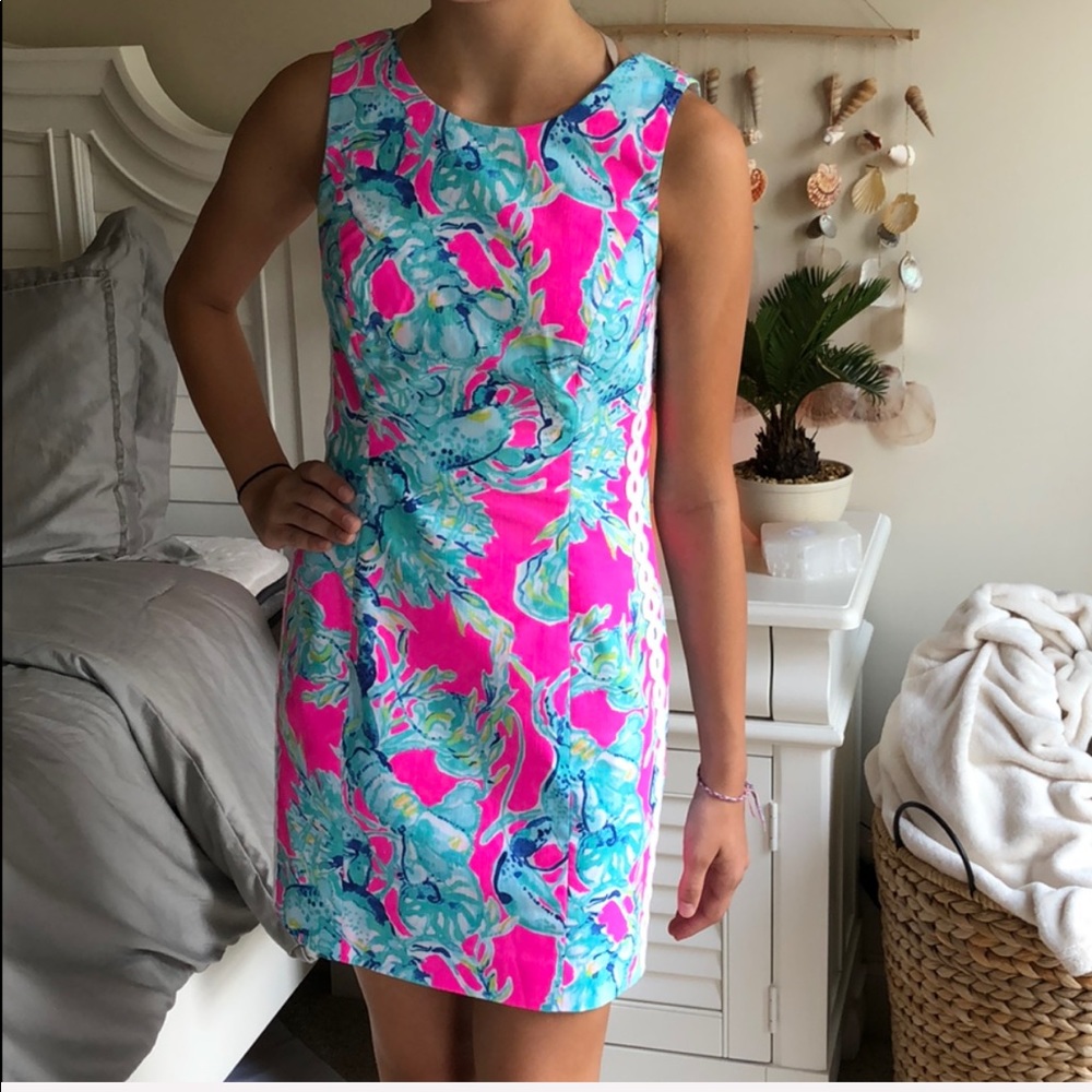 Gorgeous Lilly Dress!